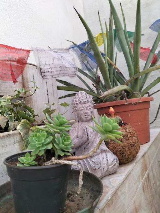 Casa Marta Apartment Cagliari Ngoại thất bức ảnh